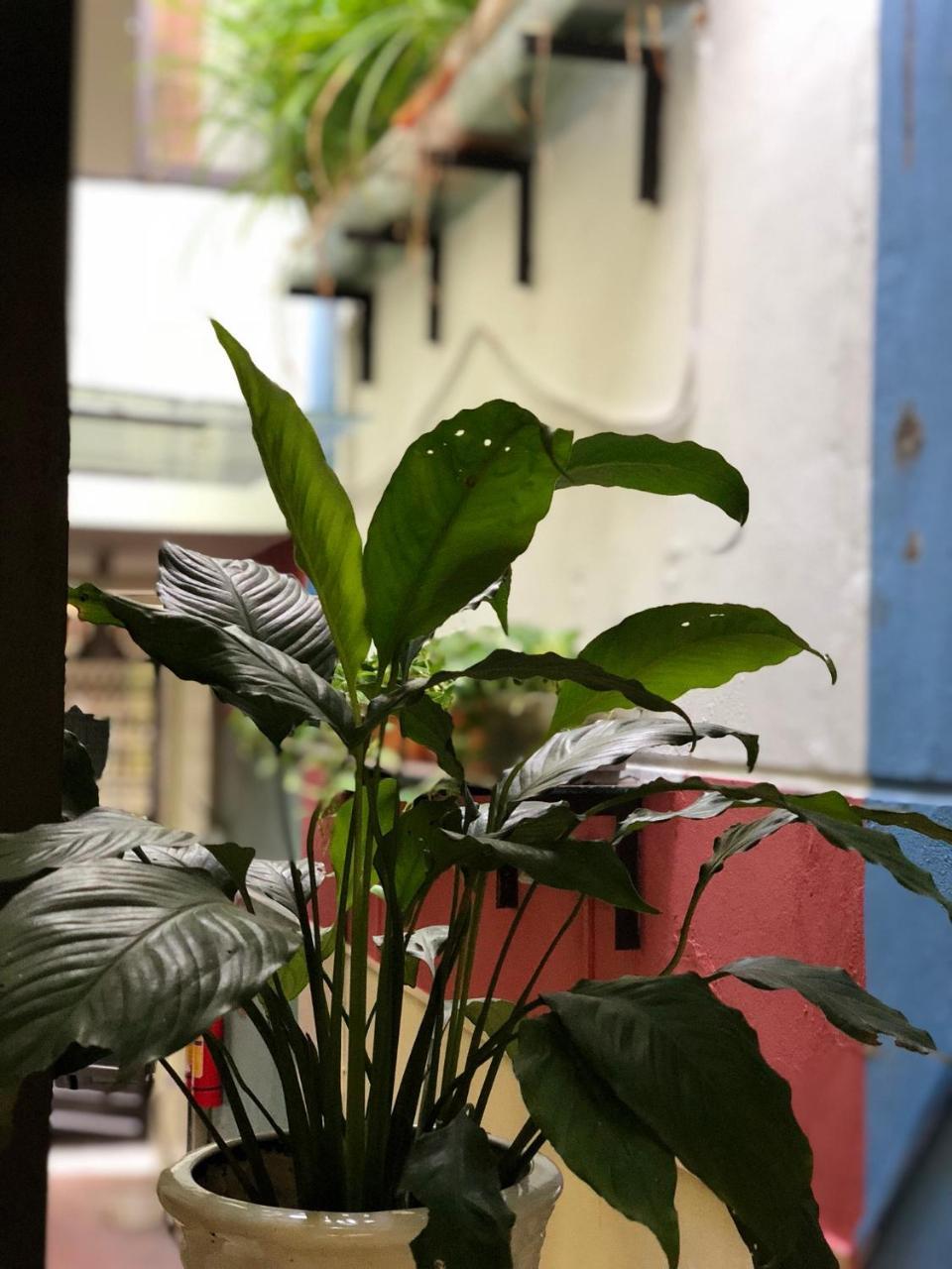 Ventana House Apartment Hai Phong Exterior foto